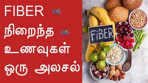 Fiber in Tamil .